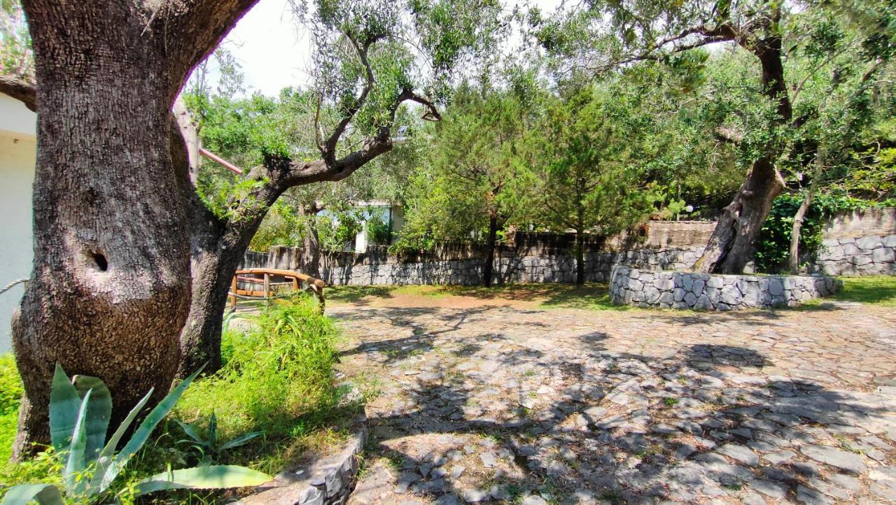 Villa Irma مارينا دي كاميروتا المظهر الخارجي الصورة