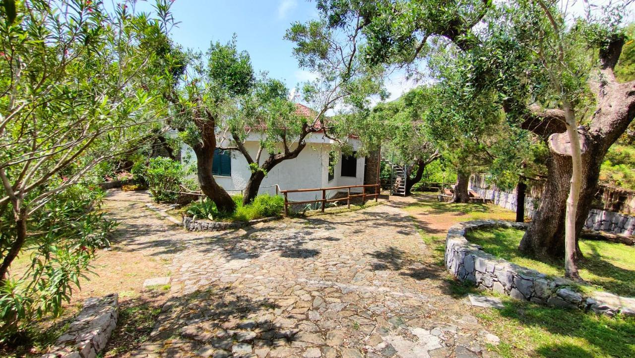Villa Irma مارينا دي كاميروتا المظهر الخارجي الصورة