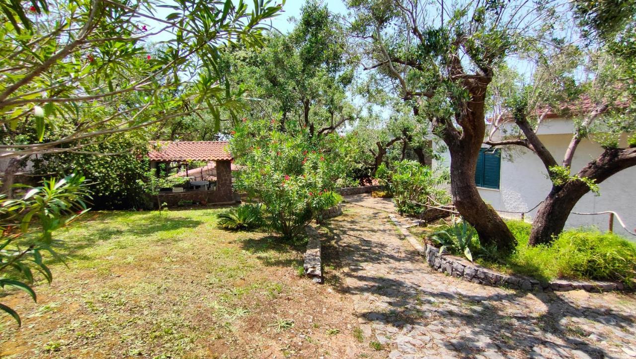 Villa Irma مارينا دي كاميروتا المظهر الخارجي الصورة