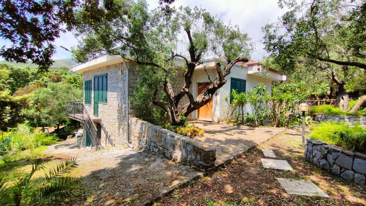 Villa Irma مارينا دي كاميروتا المظهر الخارجي الصورة