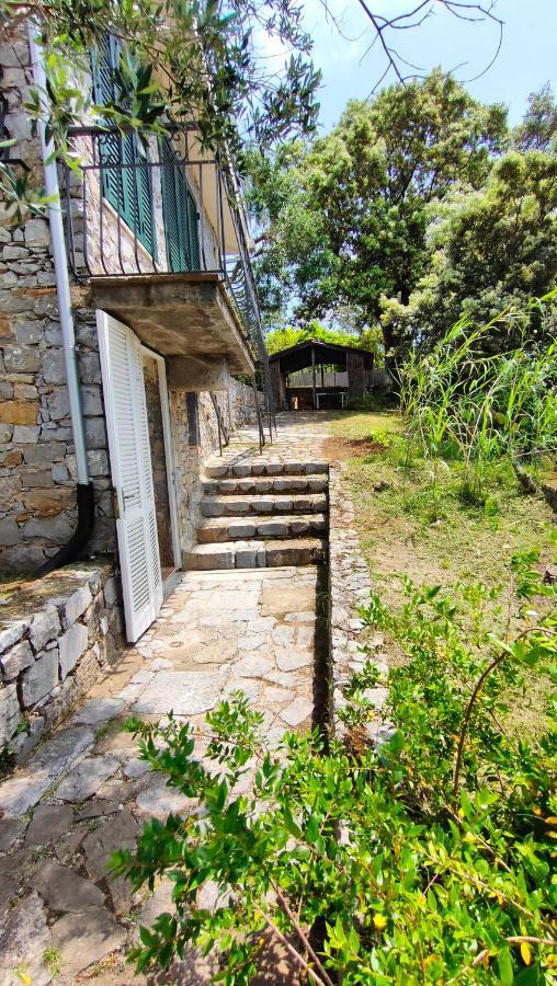 Villa Irma مارينا دي كاميروتا المظهر الخارجي الصورة