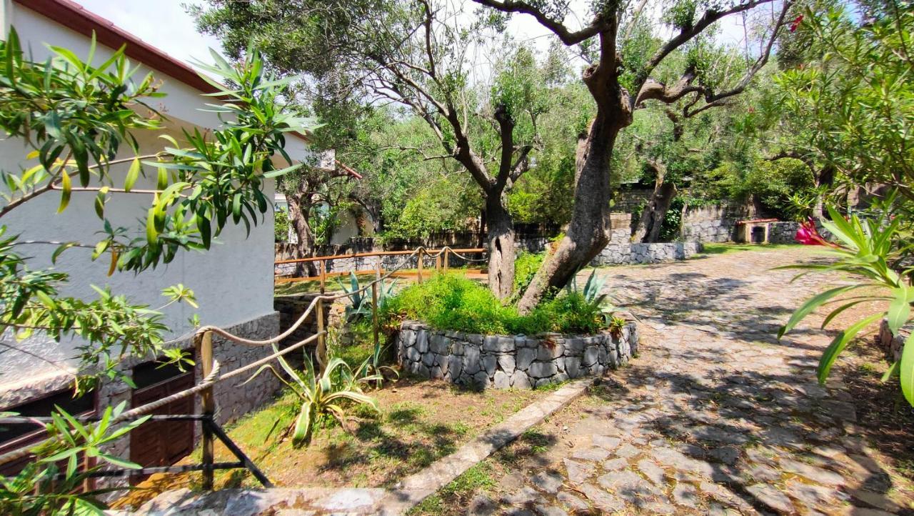 Villa Irma مارينا دي كاميروتا المظهر الخارجي الصورة