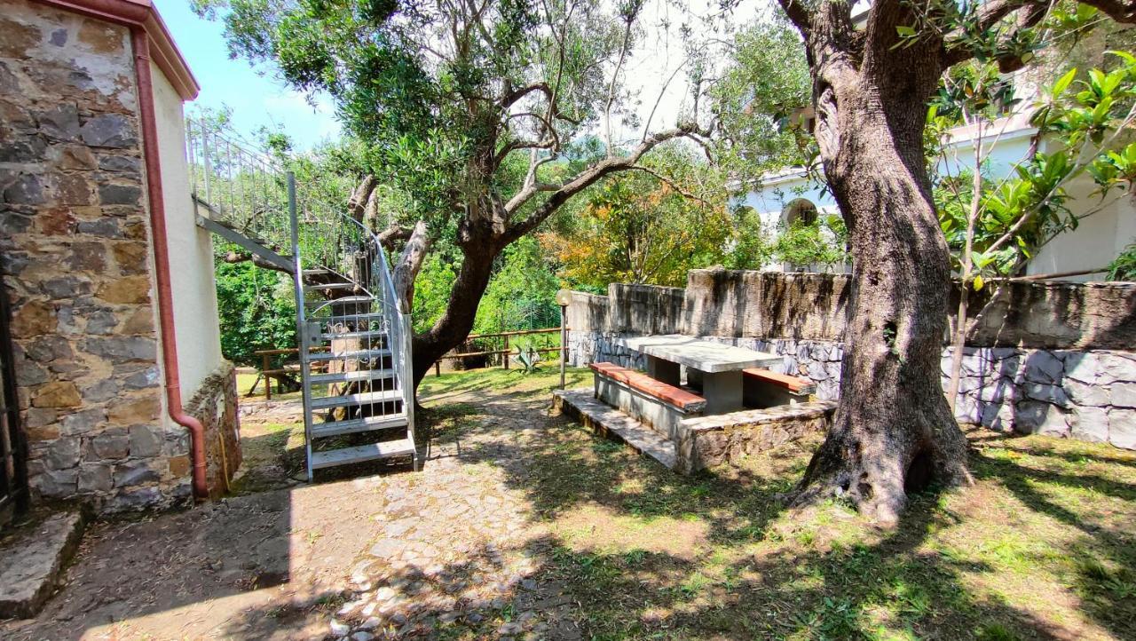 Villa Irma مارينا دي كاميروتا المظهر الخارجي الصورة