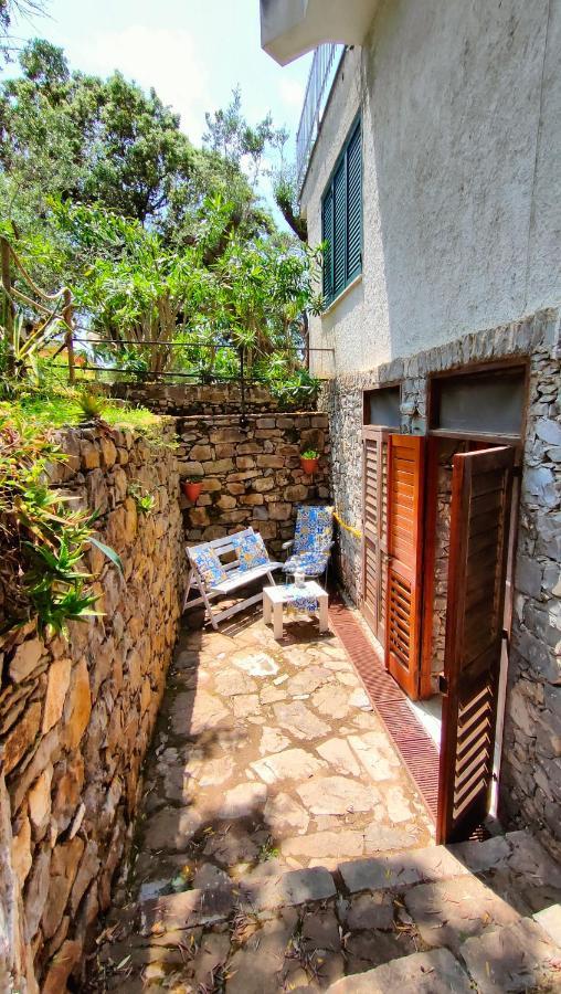 Villa Irma مارينا دي كاميروتا المظهر الخارجي الصورة