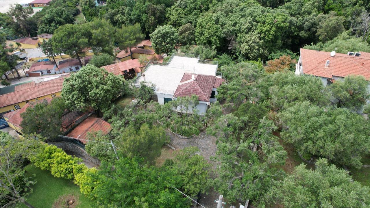 Villa Irma مارينا دي كاميروتا المظهر الخارجي الصورة